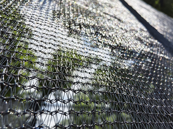 Trampol&iacute;n rectangular